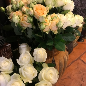 Aukštos kremonės ir baltos rožės